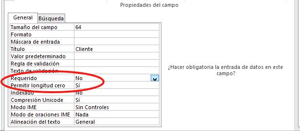 Resultado de imagen para en access que es Permitir longitud cero